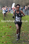Mens under-20s, 2019 European Cross Country Trials and British Cross Challenge, Sefton Park, Liverpool.  Photo: David T. Hewitson/Sports for All Pics